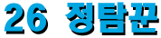 26 정탐꾼