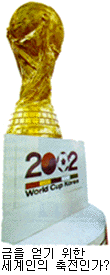 월드컵